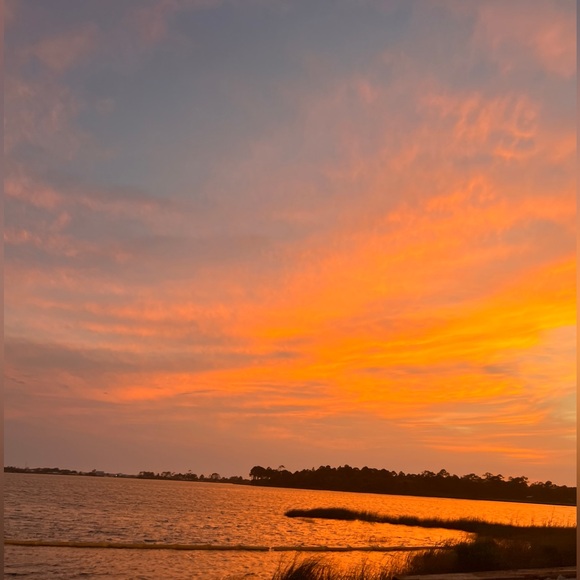 Meet your Posher, Maddy - Picture 2 of 3